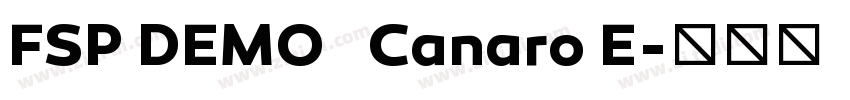 FSP DEMO   Canaro E字体转换